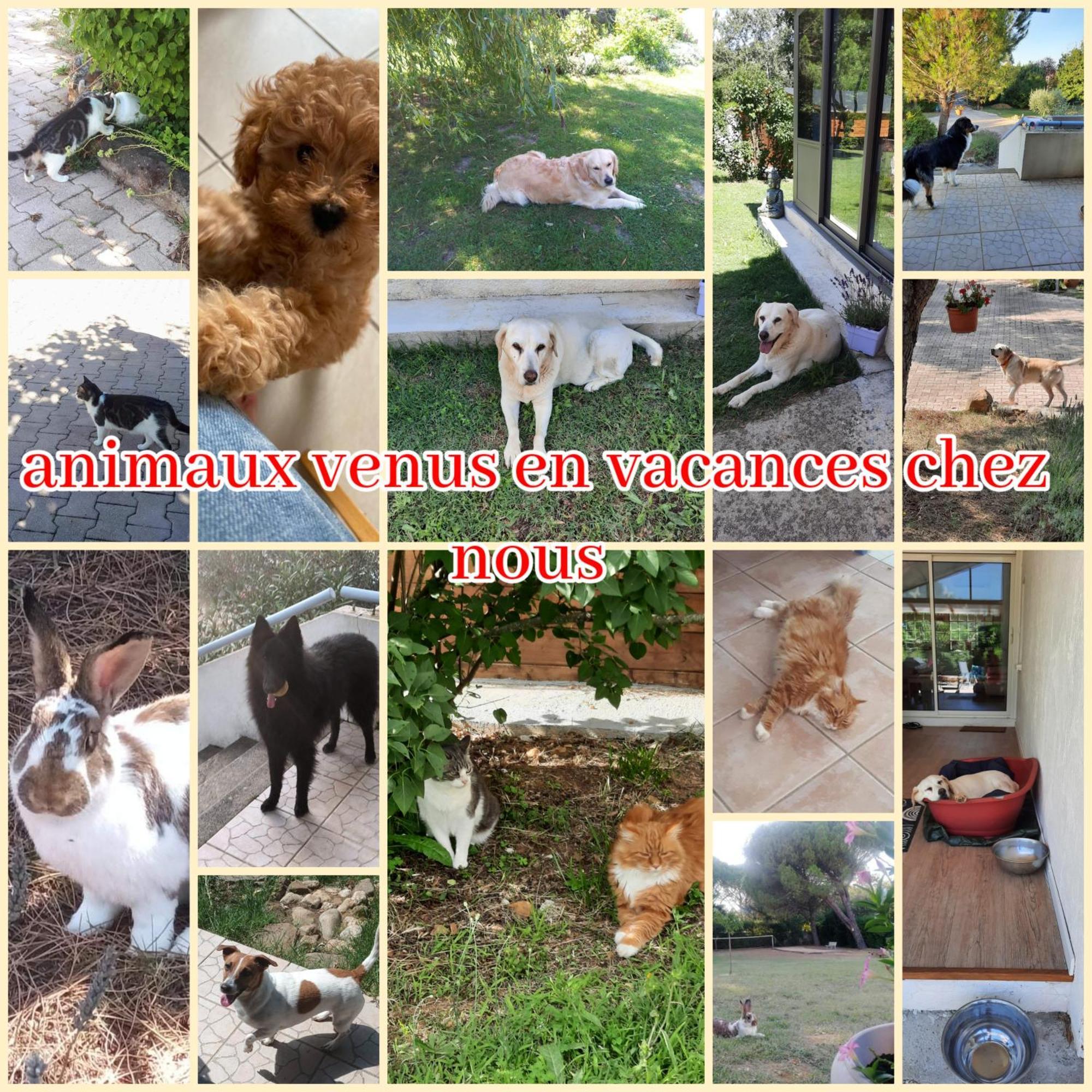 Gite Ma Vie La 3 Etoiles, Jacuzzi, Animaux Acceptes Saint-Julien-de-Cassagnas Exterior foto