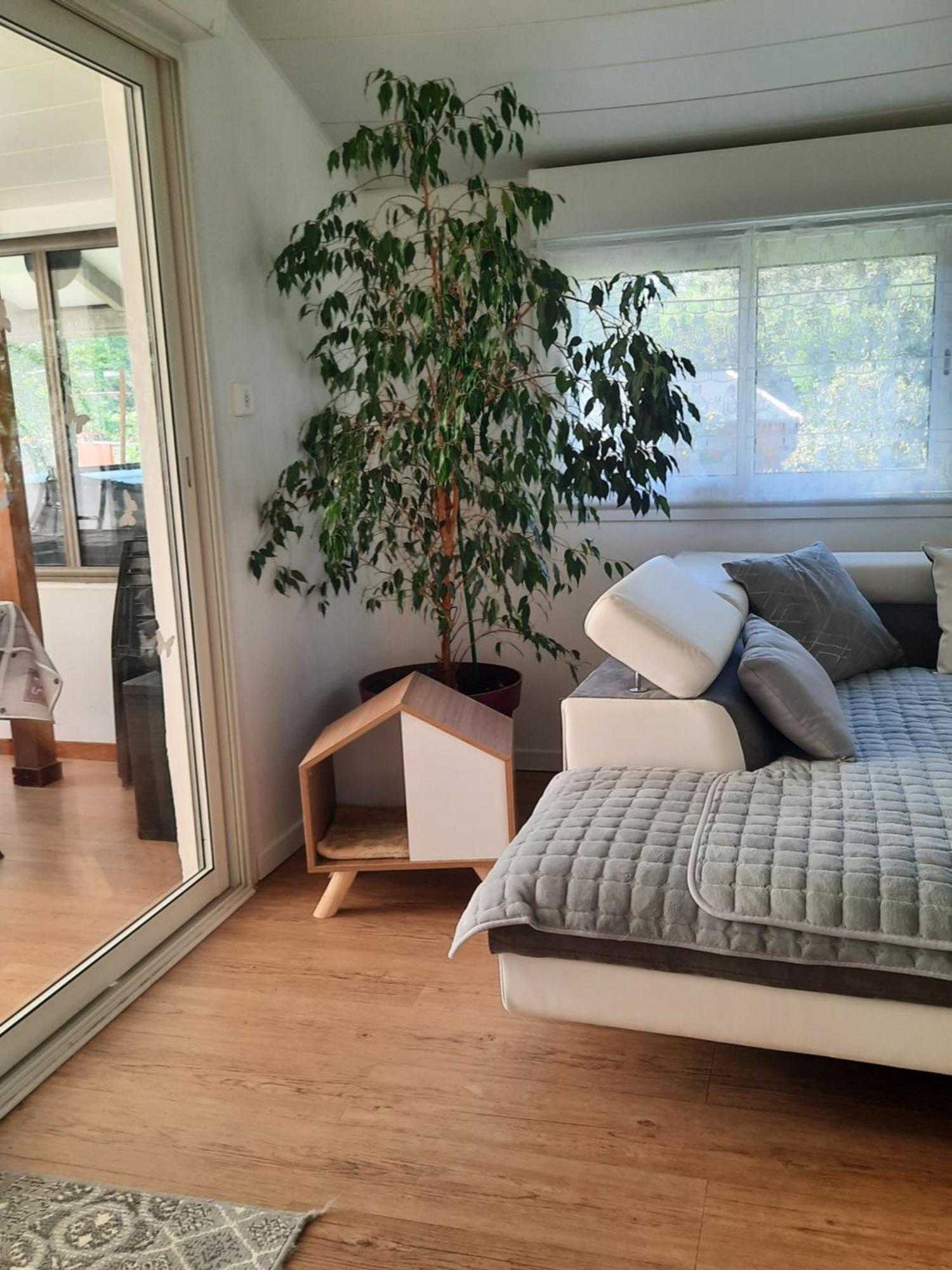 Gite Ma Vie La 3 Etoiles, Jacuzzi, Animaux Acceptes Saint-Julien-de-Cassagnas Exterior foto