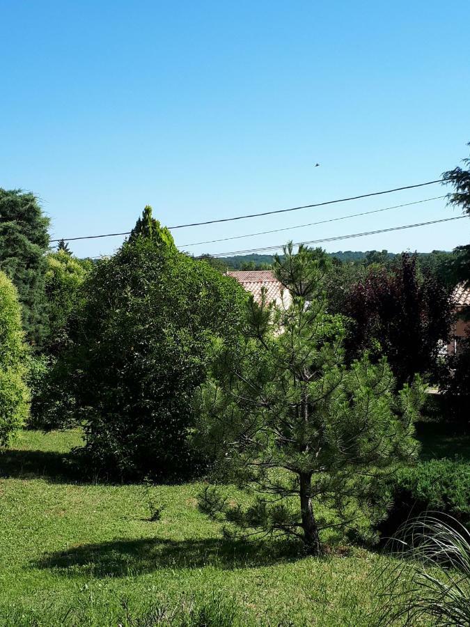 Gite Ma Vie La 3 Etoiles, Jacuzzi, Animaux Acceptes Saint-Julien-de-Cassagnas Exterior foto